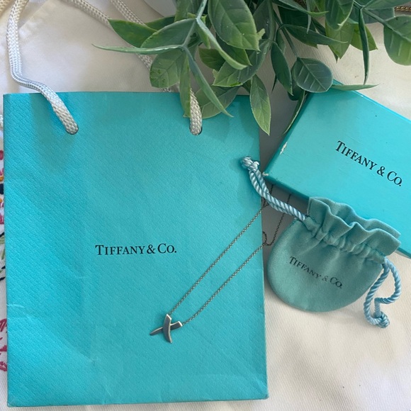 Tiffany & Co. Silver Necklace with Iconic Blue Packaging